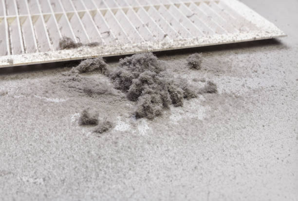 Best Affordable Duct Cleaning Services  in Gainesville, TX